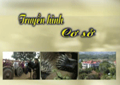 Truyền hình cơ sở
