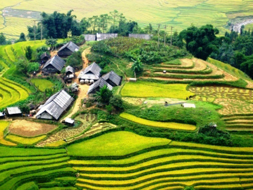 ruong bac thang