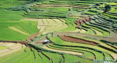 ruong bac thang