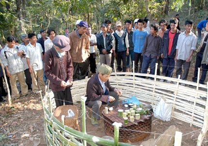 Mô tả ảnh.