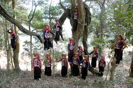Mô tả ảnh.