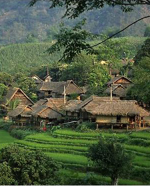 Mô tả ảnh.