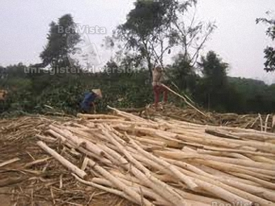 Keo Lai