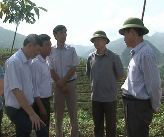Lãnh đạo UBND tỉnh làm việc tại TG