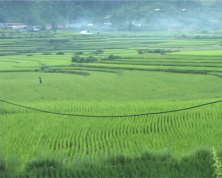 Cuoc song cua nguoi Xa Phang o Ta Sin Thang.jpg