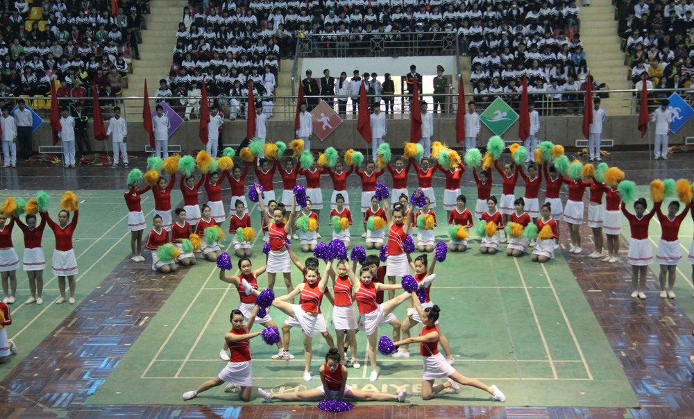bvc
