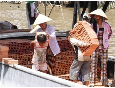 Hình minh họa (nguồn Internet)