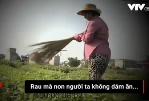 Dung_choi_quet_rau_SRBQ.jpg