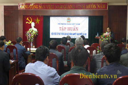 Toàn ảnh buổi tập huấn.