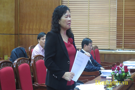 Đại biểu Giàng Thị Hoa - Phó Chủ tịch HĐND tỉnh Điện Biên.