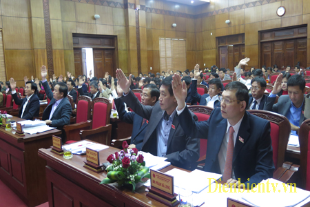 Các đại biểu biểu quyết thông qua Nghị quyết.