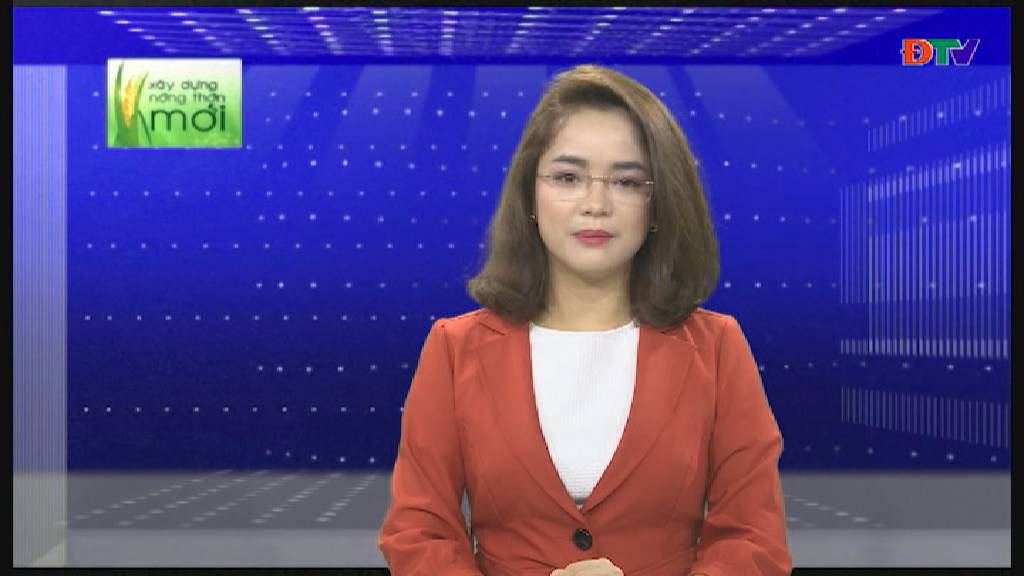 Nông thôn mới (Tháng 02/2019)