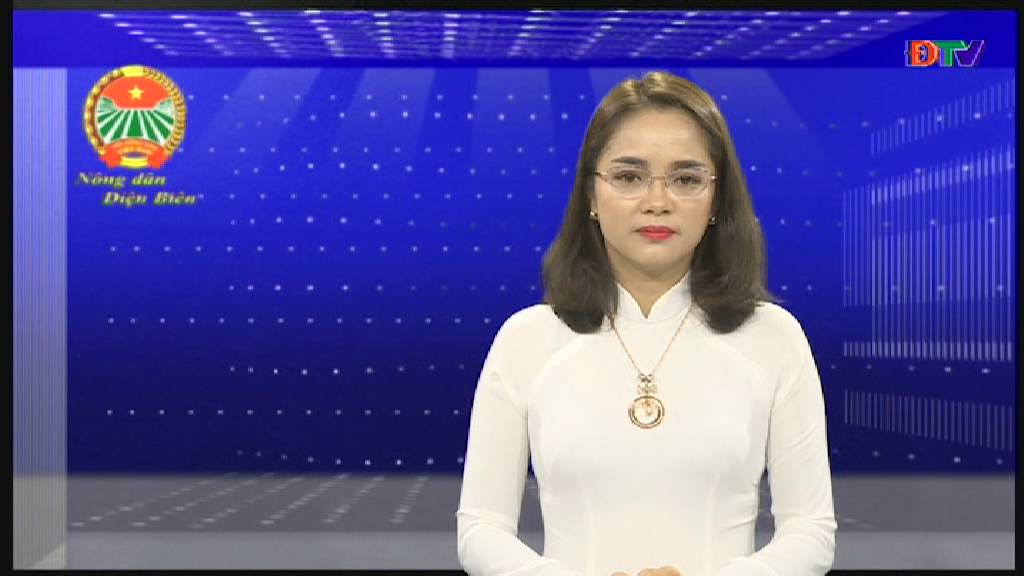 Nông dân Điện Biên (Tháng 7-2019)