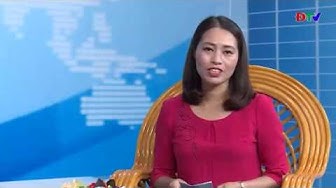 Tọa đàm và trao đổi (Ngày 01-7-2019): Tăng cường công tác tuyên truyền phòng tránh ngộ độc nấm rừng