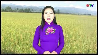 Đài huyện Điện Biên (ngày 26-8-2019)