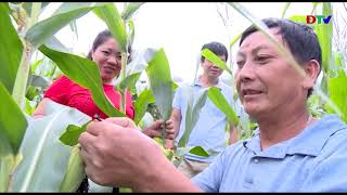 Nông thôn mới (Tháng 9/2019)