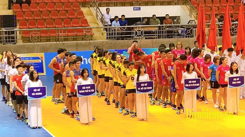 Các đội tham gia giải đấu.