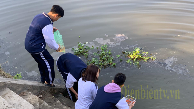 Những người đi thả cá trên địa bàn TP.Điện Biên Phủ được các em học sinh nhiệt tình giúp thả cá, thu gom túi nilon,... từ những việc làm này nhiều người dân đã thay đổi thói quen, ý thức hơn trong việc bảo vệ môi trường.