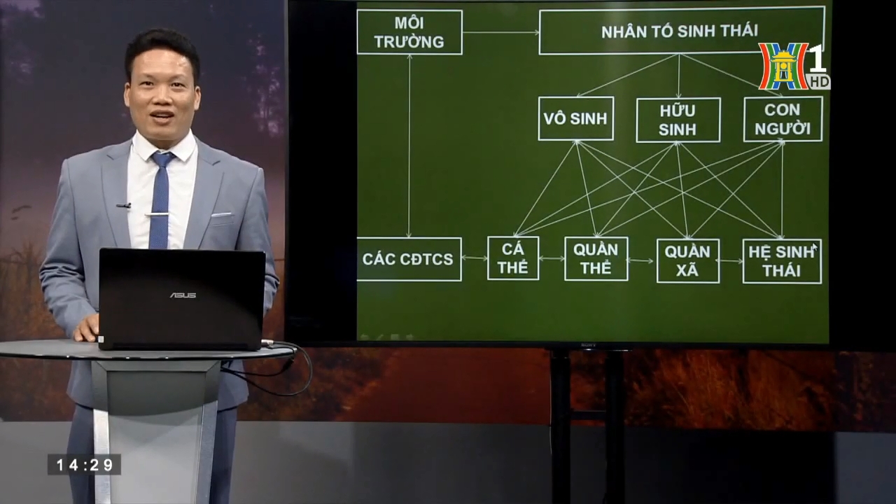 MÔN SINH HỌC LỚP 12 BÀI 36 QUẦN THỂ SINH VẬT