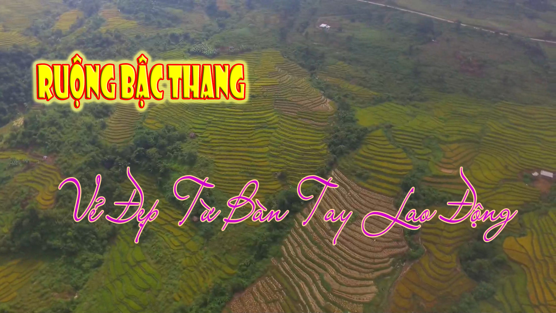 Ruộng bậc thang - Vẻ đẹp từ bàn tay lao động