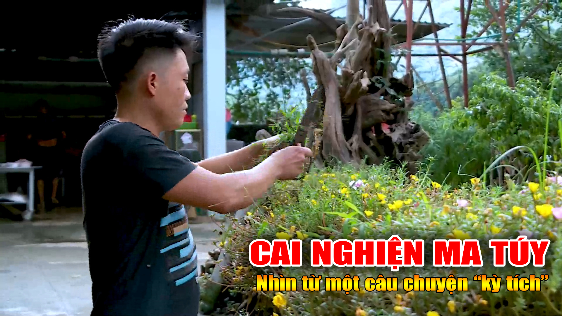 Cai nghiện ma túy - Nhìn từ một câu chuyện 