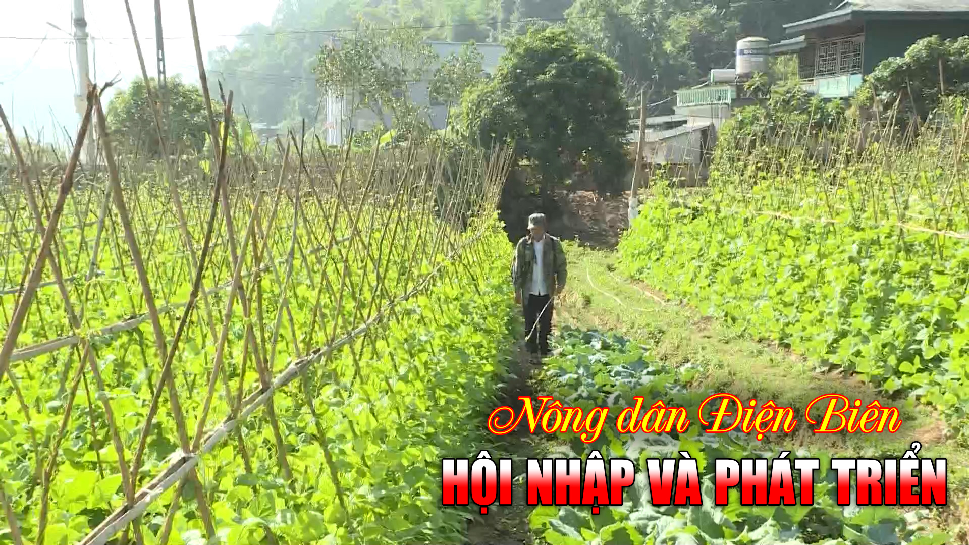 Nông dân Điện Biên hội nhập và phát triển