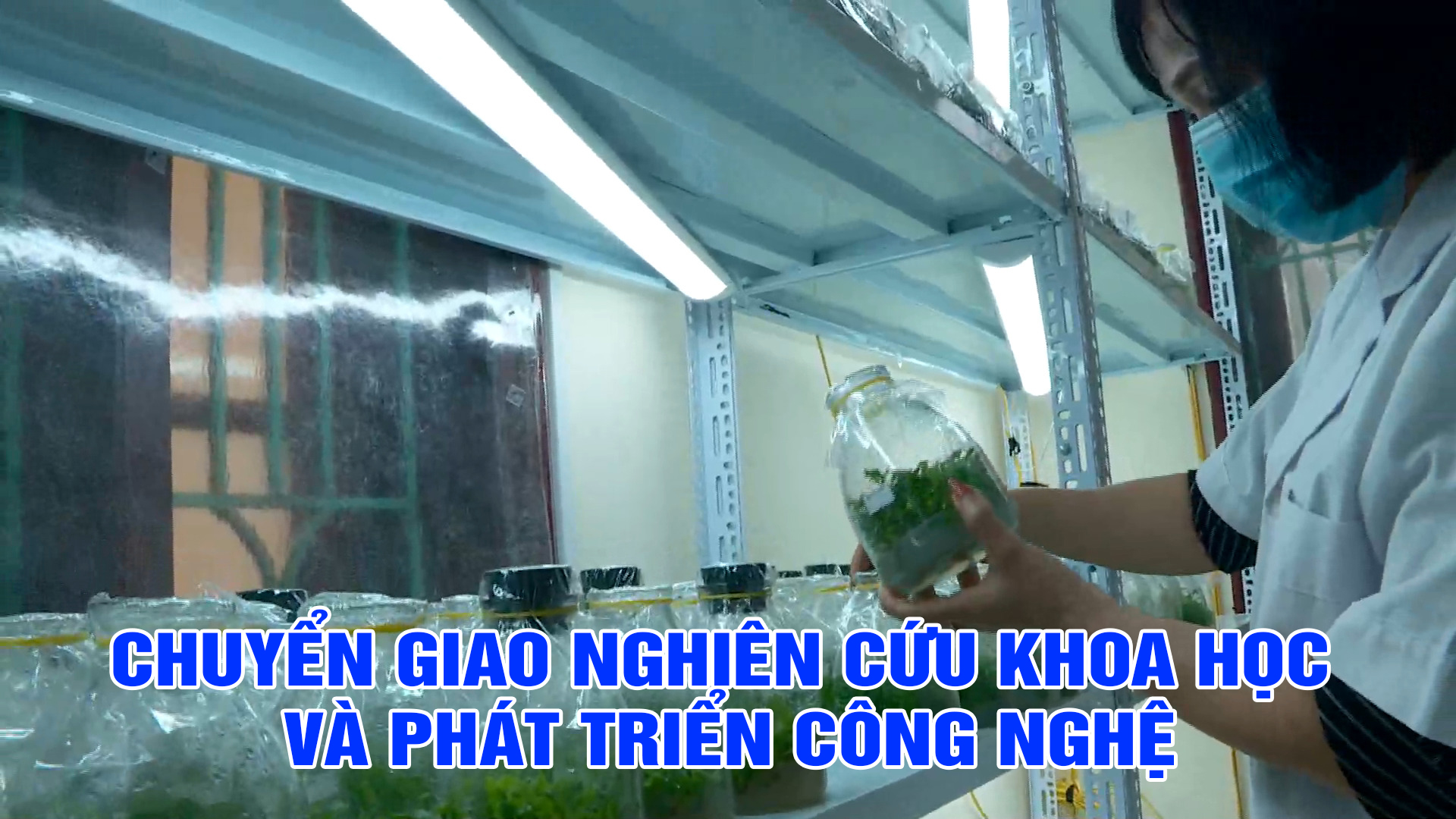 Chuyển giao nghiên cứu khoa học và phát triển công nghệ