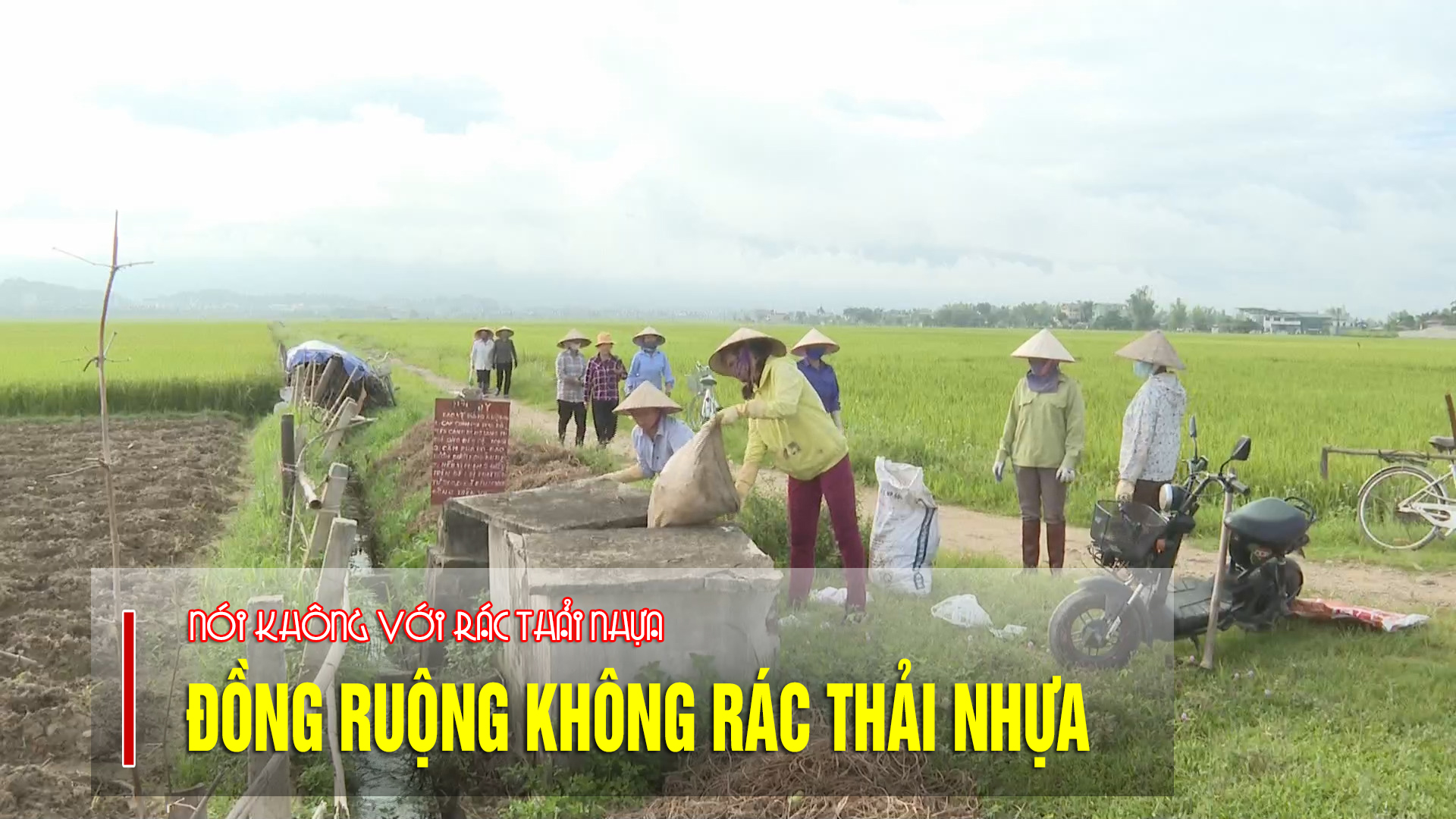 Đồng ruộng không rác thải nhựa