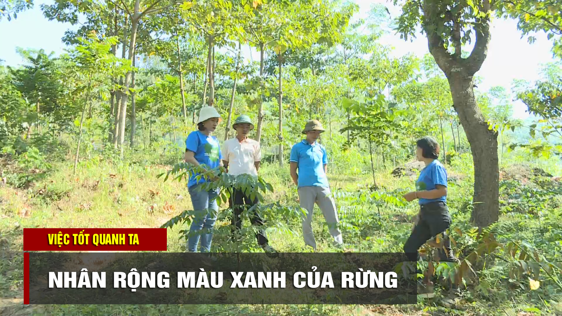 Nhân rộng màu xanh của rừng