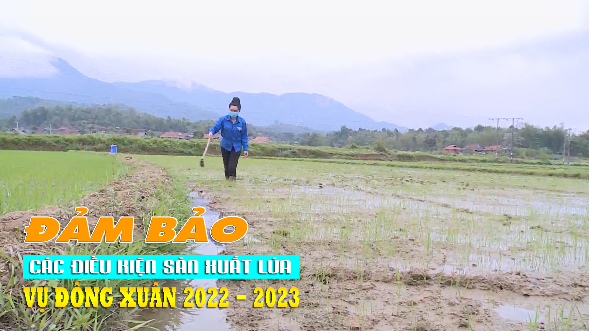 Đảm bảo các điều kiện sản xuất lúa vụ Đông Xuân 2022 - 2023