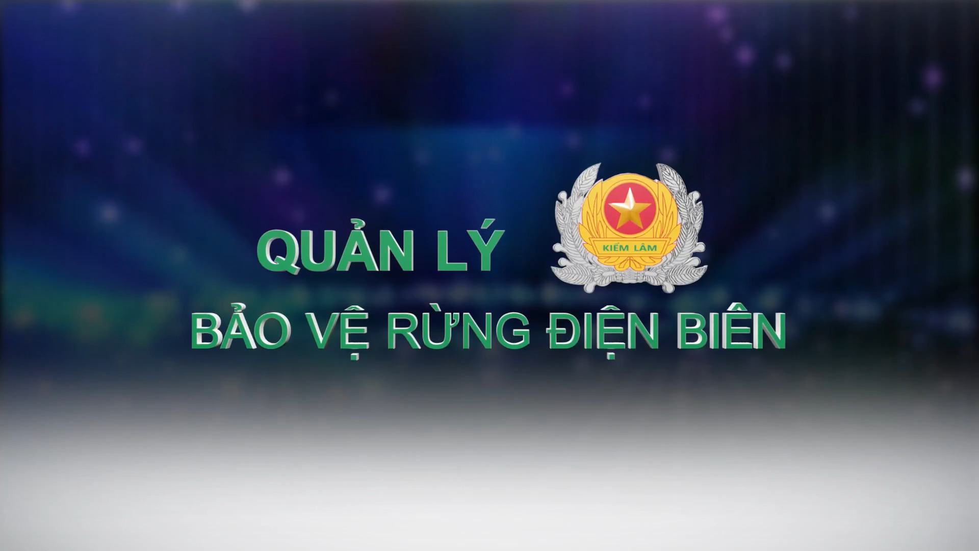 Quản lý bảo vệ rừng Điện Biên (Ngày 21-1-2023)