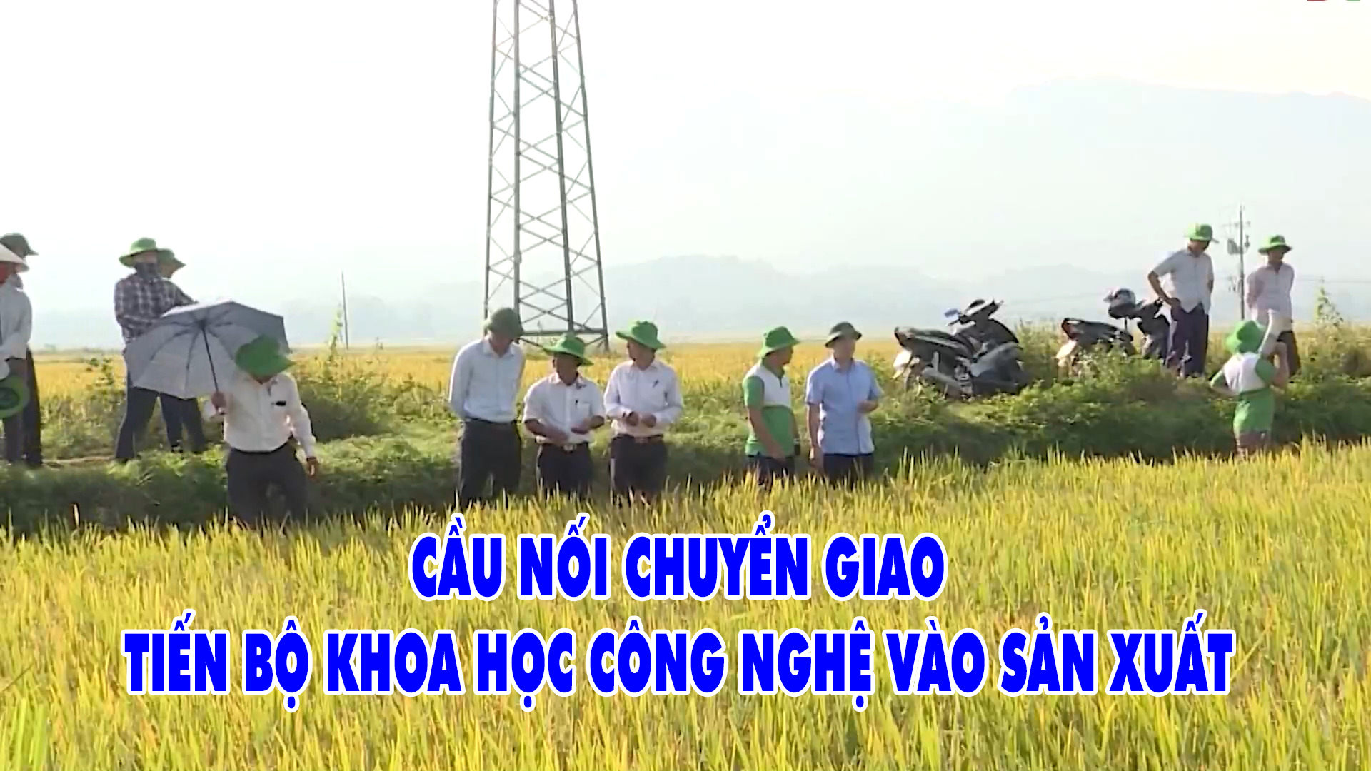 Cầu nối chuyển giao KHCN vào sản xuất