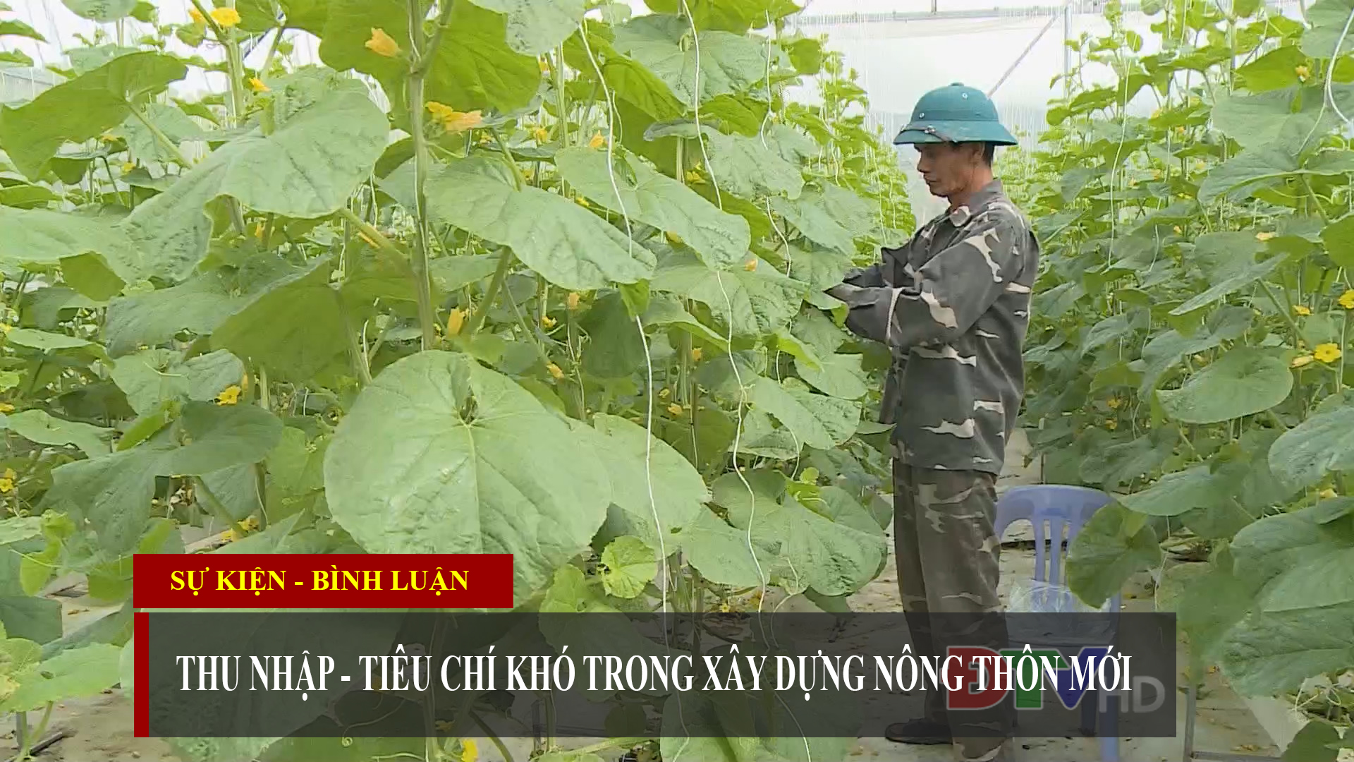 Thu nhập - Tiêu chí khó trong xây dựng nông thôn mới