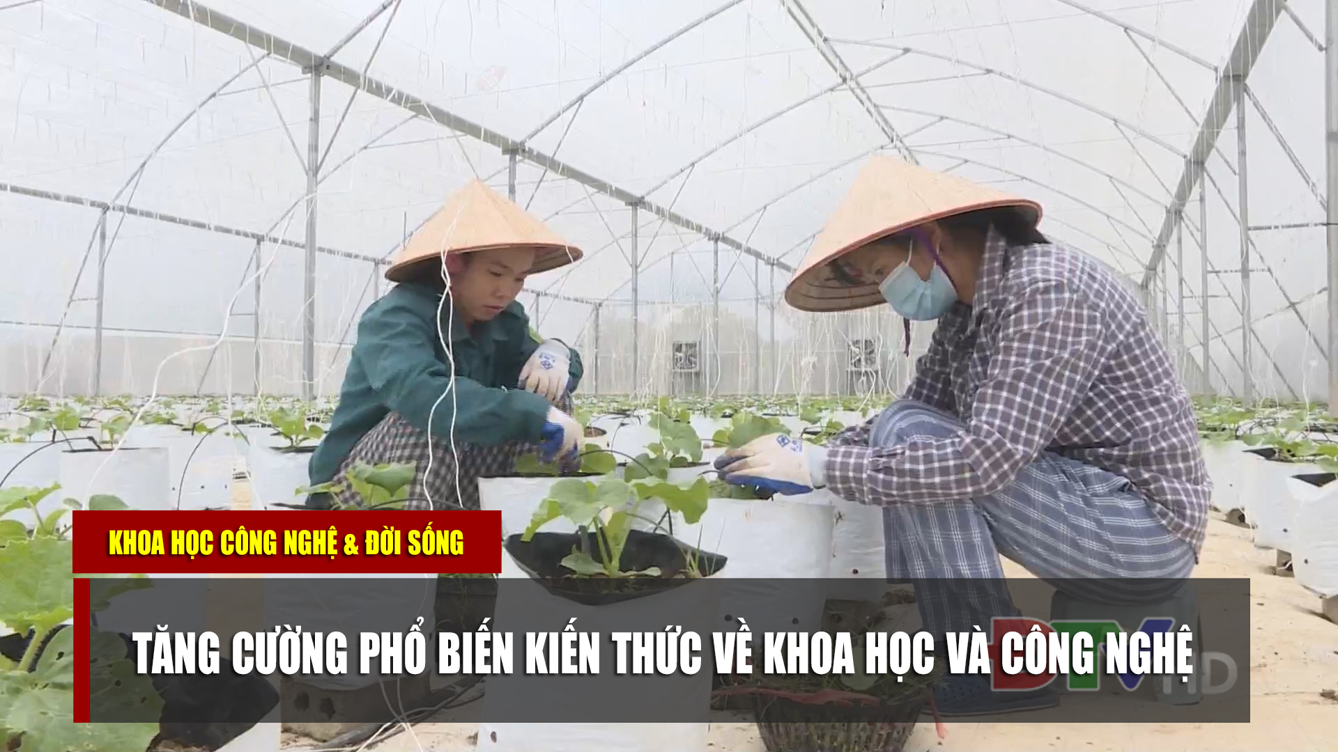 Tăng cường phổ biến kiến thức khoa học và công nghệ