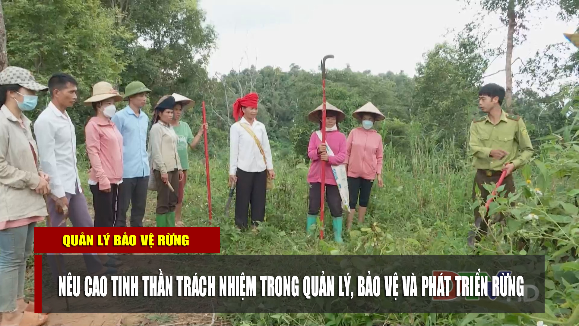 Nêu cao tinh thần trách nhiệm trong quản lý, bảo vệ rừng