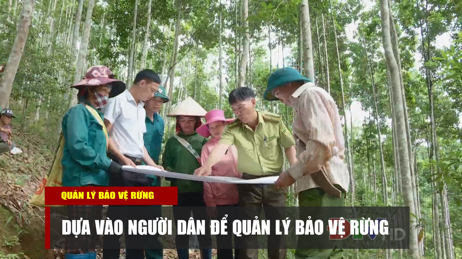 Dựa vào người dân để quản lý bảo vệ rừng