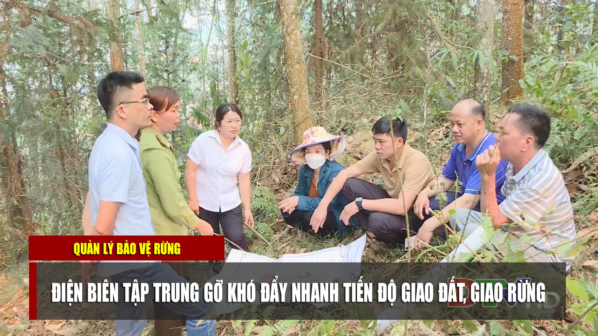 Điện Biên tập trung gỡ khó đẩy nhanh tiến độ giao đất, giao rừng