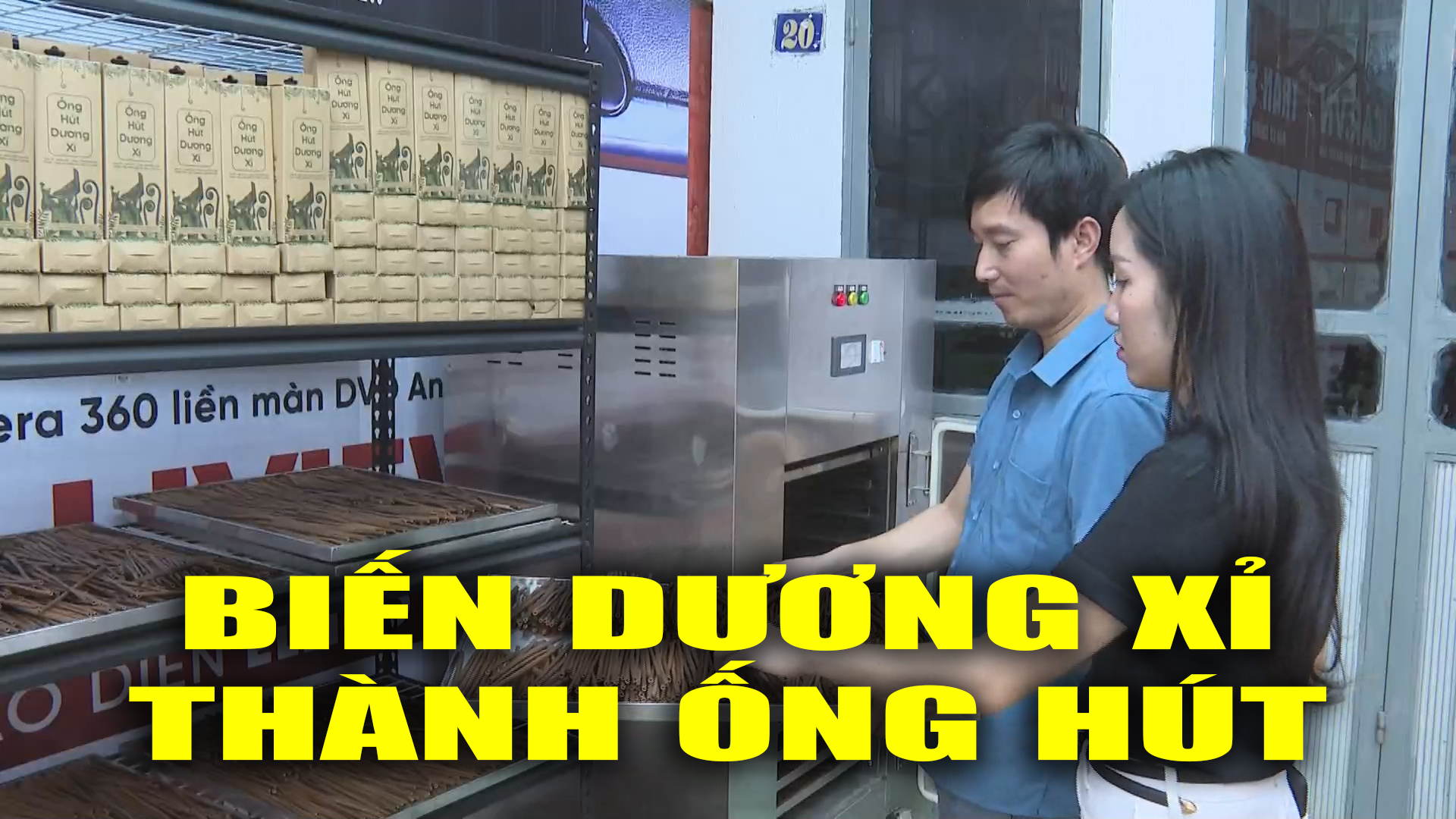 Biến dương xỉ thành ống hút