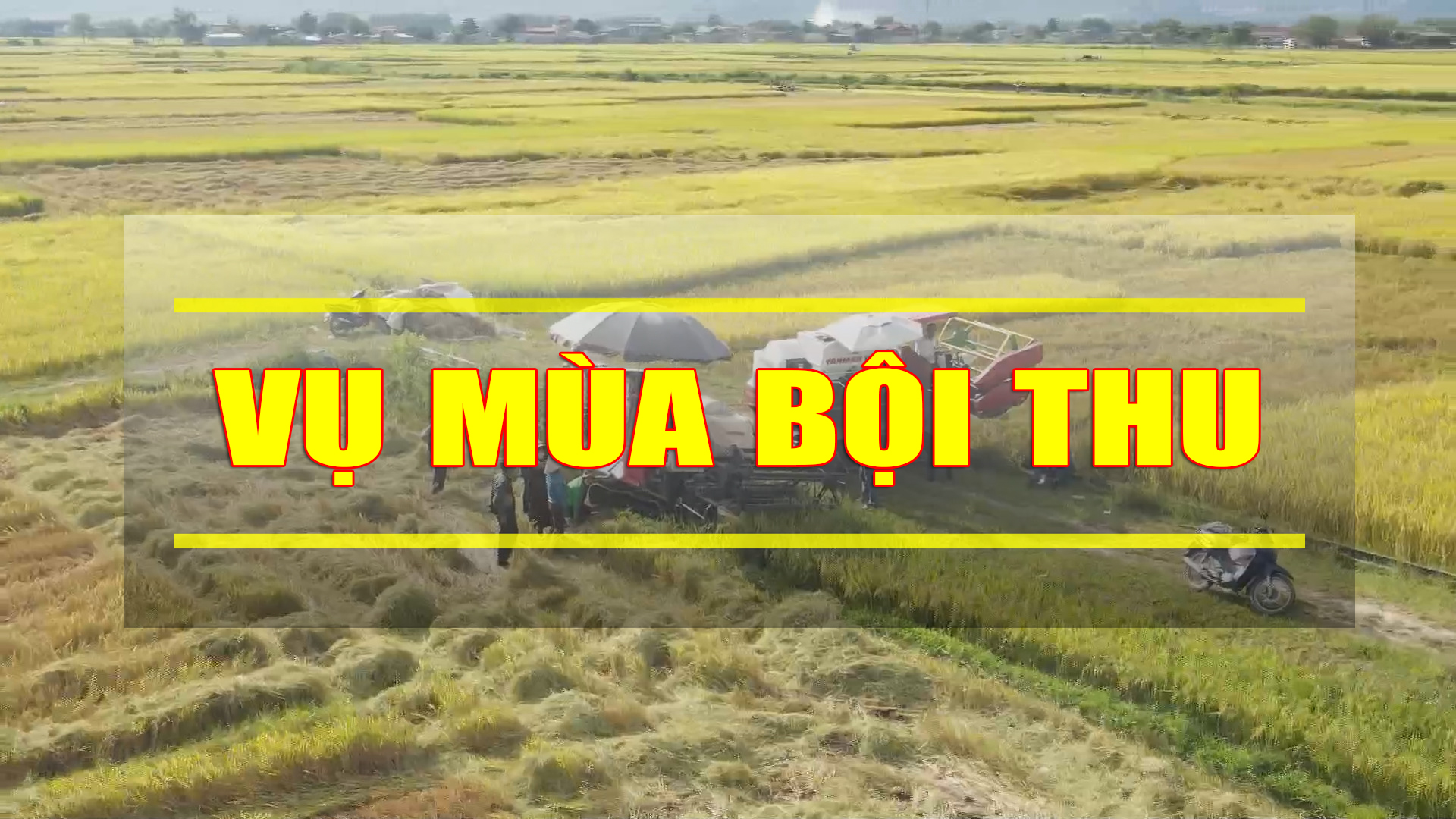 Vụ mùa bội thu