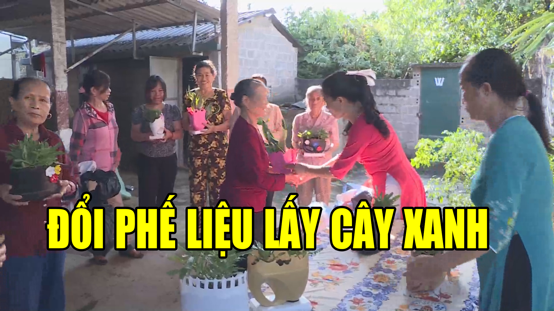 Đổi phế liệu lấy cây xanh