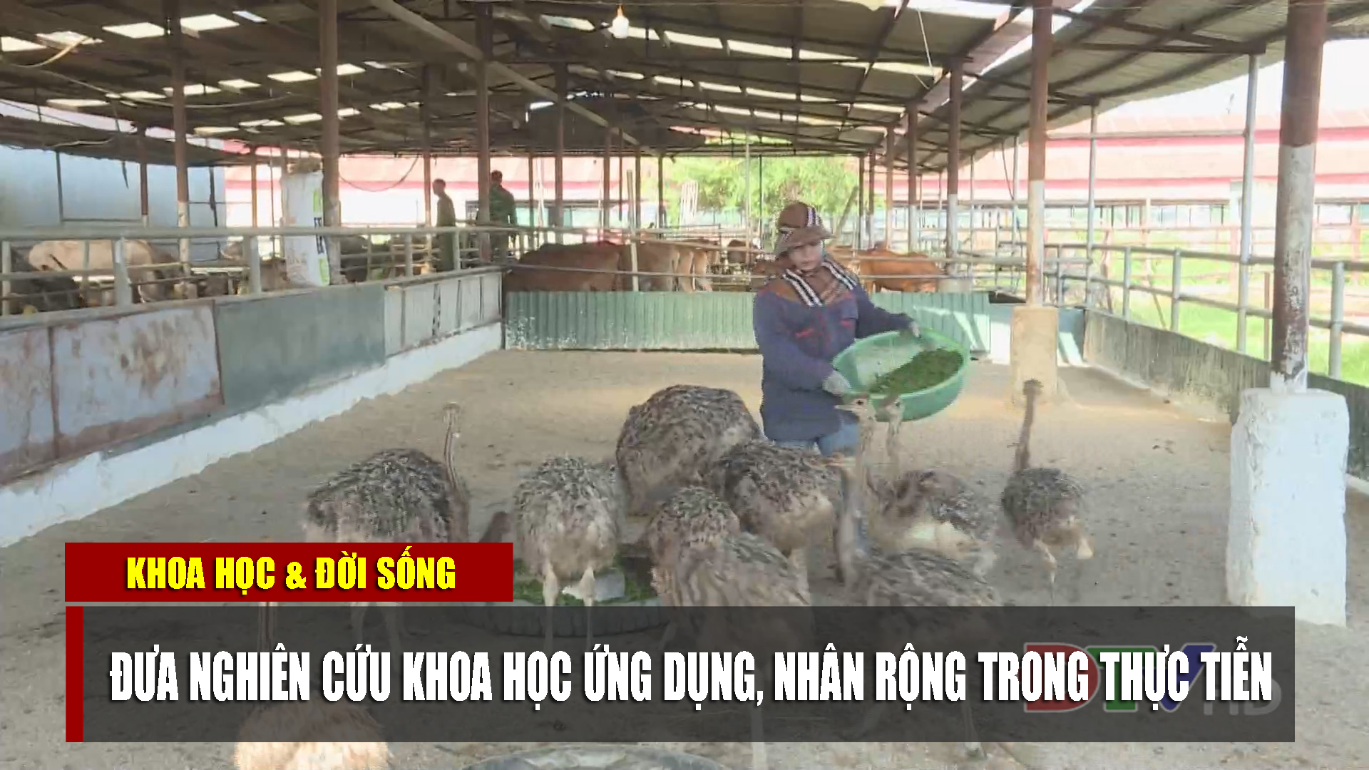 Đưa nghiên cứu khoa học ứng dụng, nhân rộng trong thực tiễn