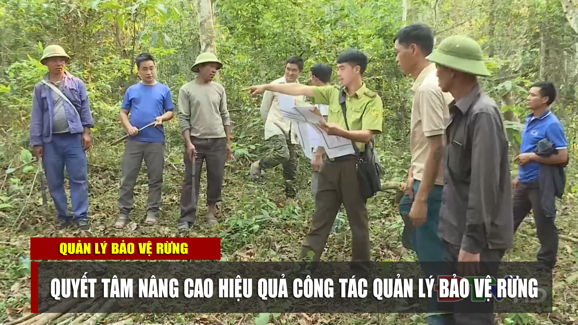 Quyết tâm nâng cao hiệu quả công tác quản lý bảo vệ rừng