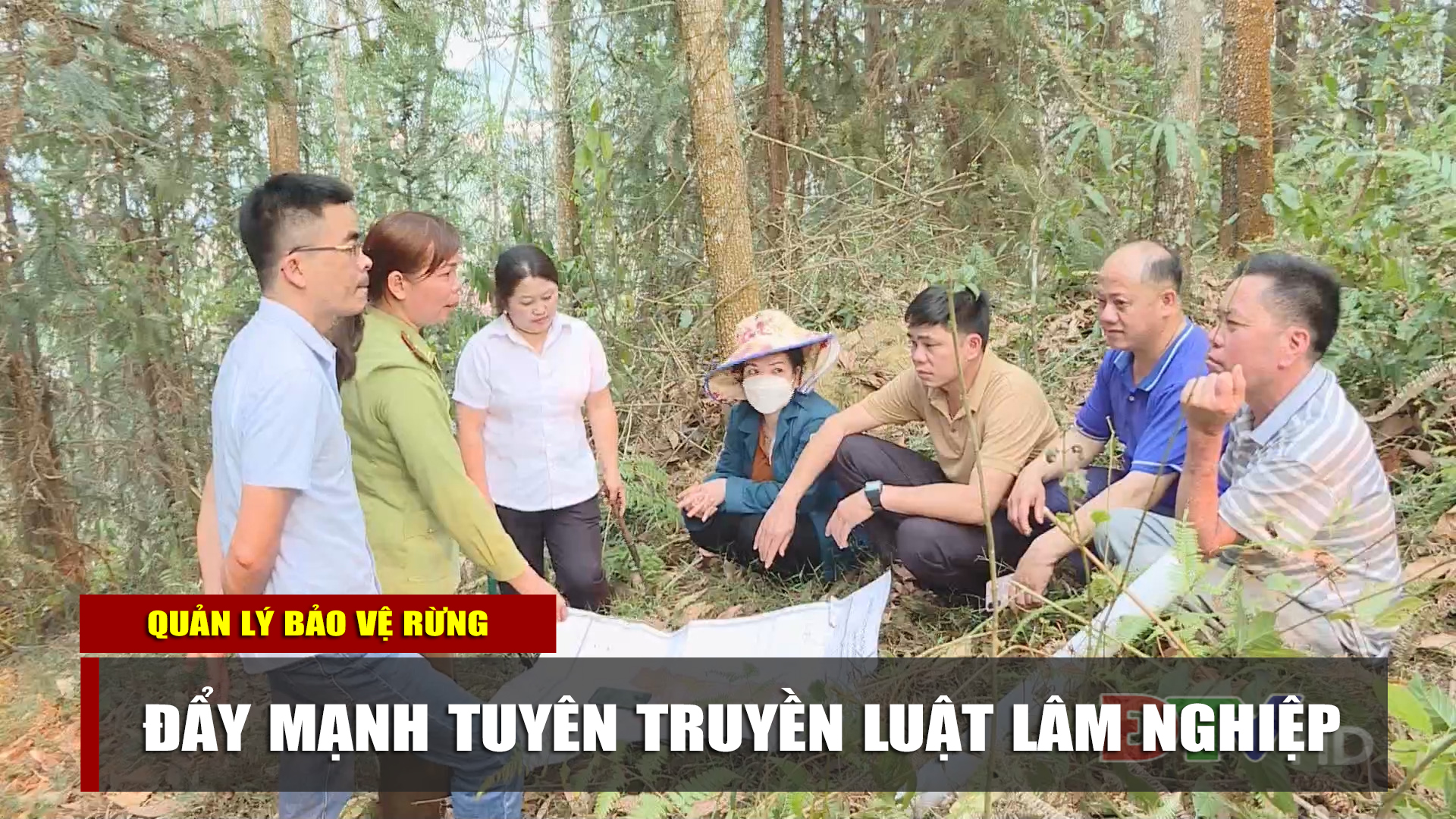 Đẩy mạnh tuyên truyền Luật Lâm nghiệp