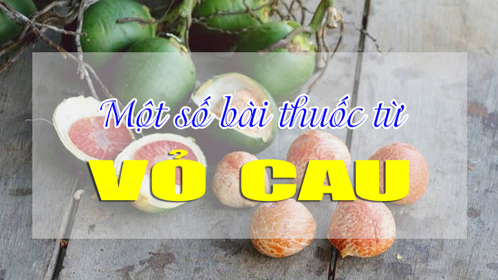 Một số bài thuốc từ vỏ cau