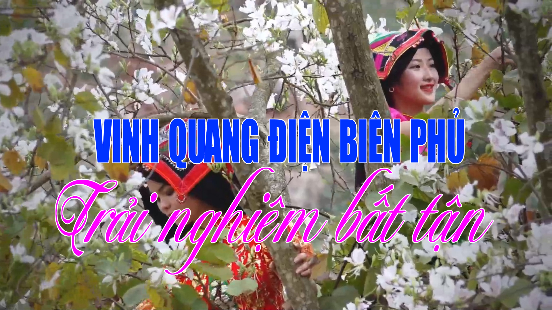 Vinh quang Điện Biên Phủ - Trải nghiệm bất tận