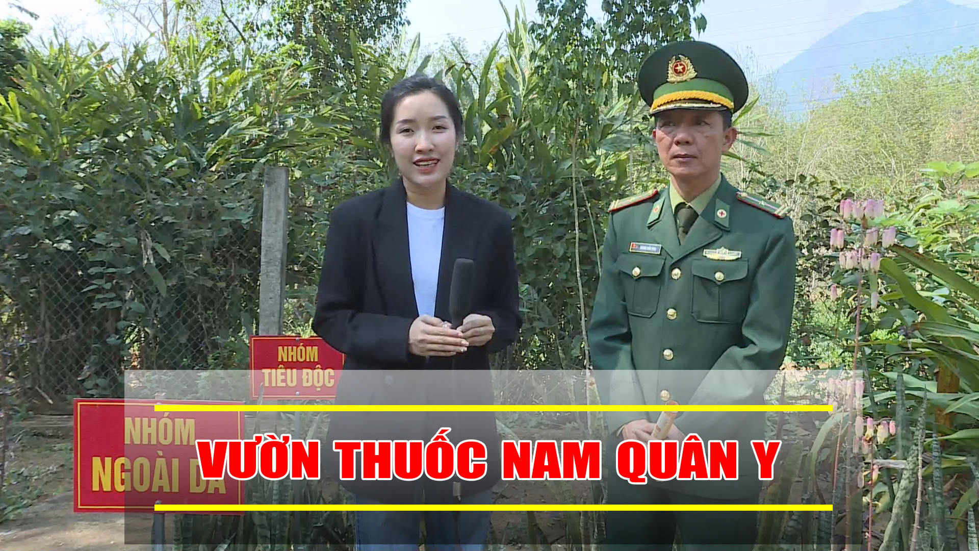 Vườn thuốc nam quân y