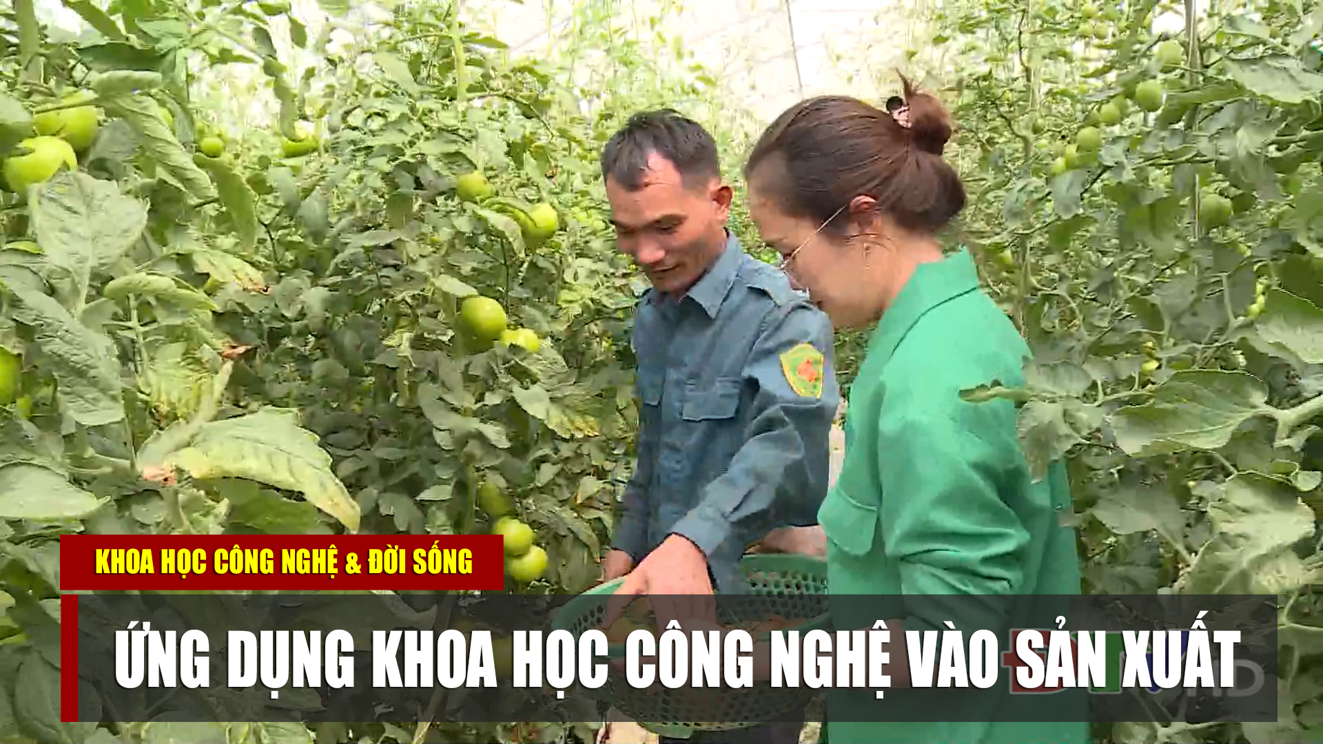 Ứng dụng khoa học công nghệ vào sản xuất