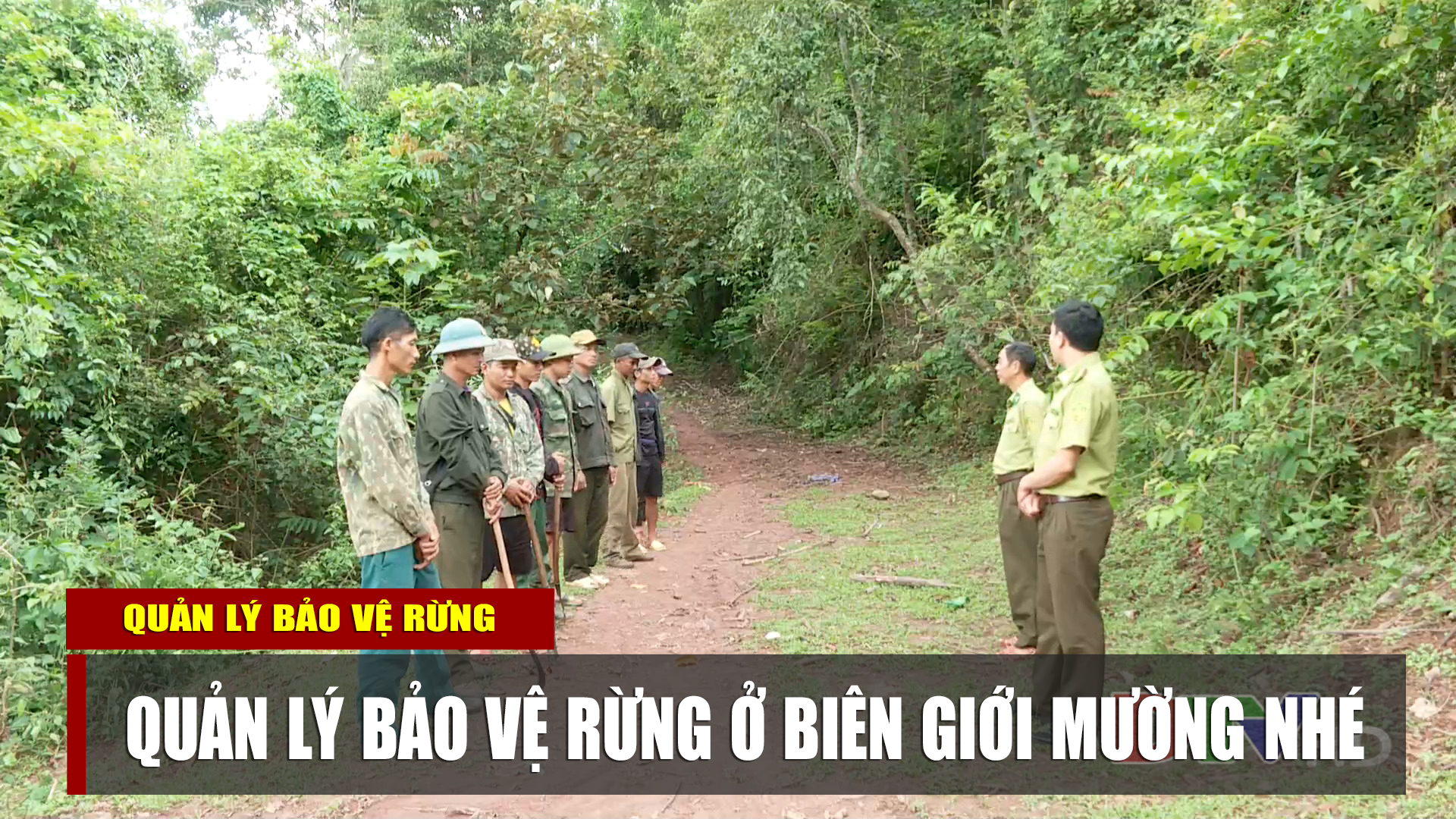 Quản lý bảo vệ rừng ở biên giới Mường Nhé