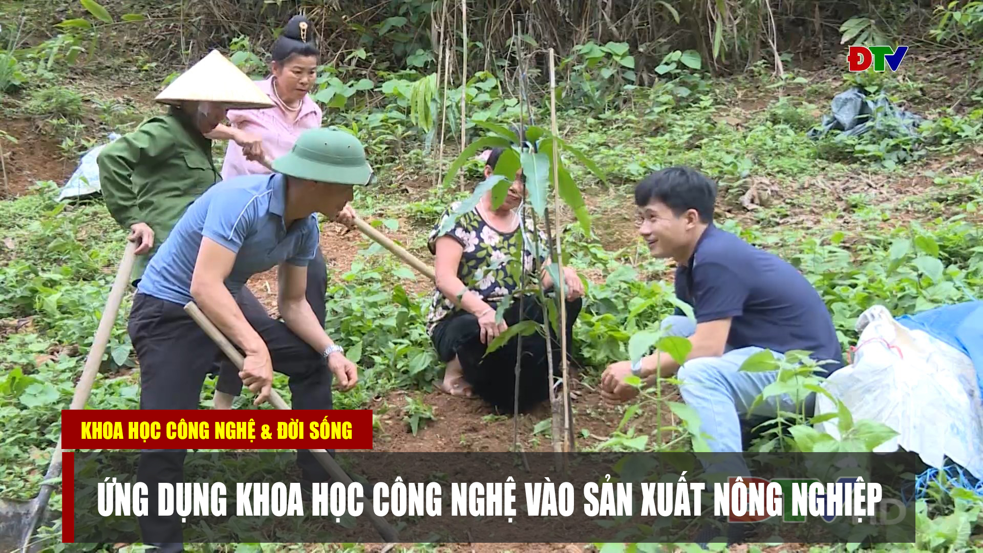 Ứng dụng khoa học công nghệ vào sản xuất nông nghiệp