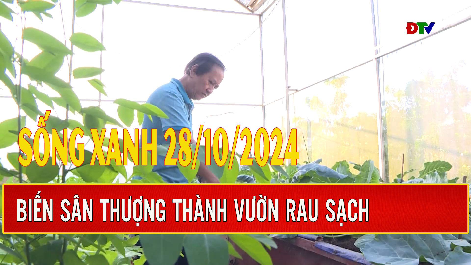 Biến sân thượng thành vườn rau sạch